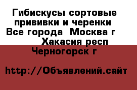 Гибискусы сортовые, прививки и черенки - Все города, Москва г.  »    . Хакасия респ.,Черногорск г.